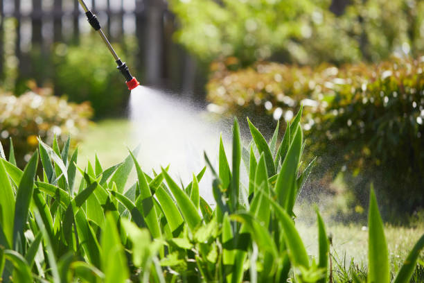 24/7 Emergency Mosquito Control experts in Prien, LA