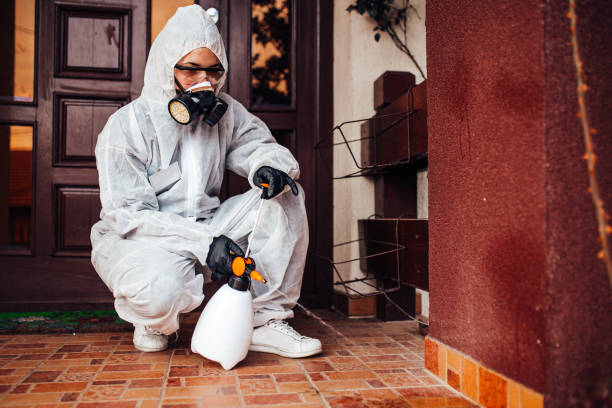 Reliable Mosquito Control contractor in Prien, LA by Show Me Pest Control